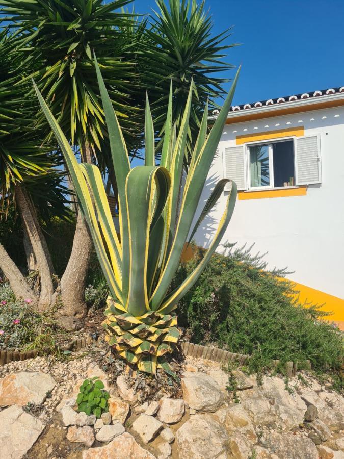 Casa Ensolarada B&B And Pottery อัลเจซูร์ ภายนอก รูปภาพ